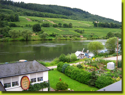 Ausblick auf die Mosel